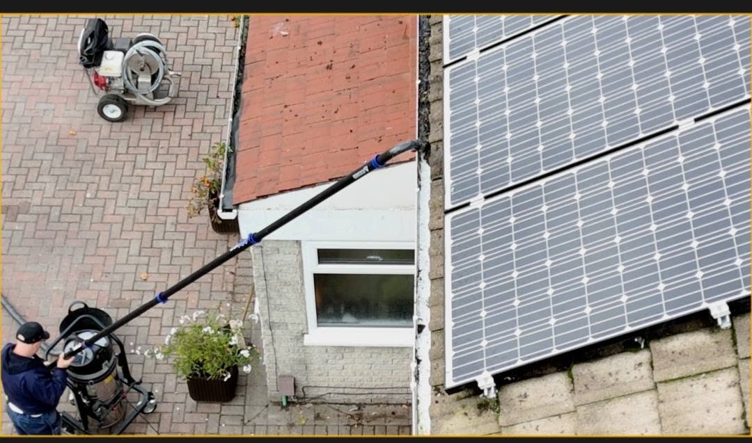 gutter cleaning